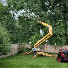 Best Tree Risk Assessment  in Kathleen, FL