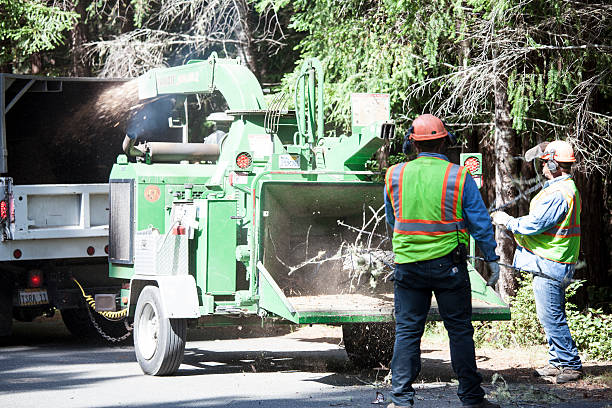 Best Grass Overseeding  in Kathleen, FL